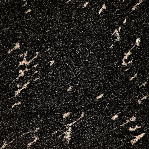 Fish-Black
