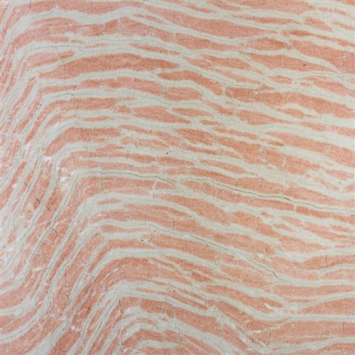 Zebra-pink